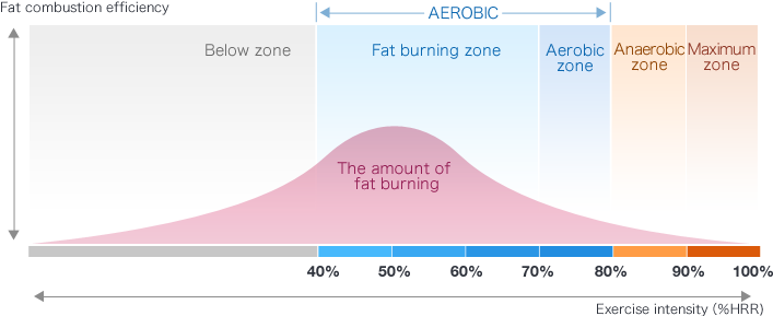 Fat burning efficiency, and Exercise intensity.